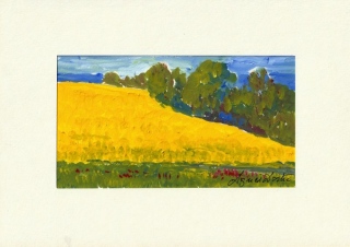Colza en Pays de Bray - Gouache - aquarelle - petit format.