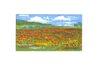 Champ de coquelicots - Gouache - aquarelle - petit format.