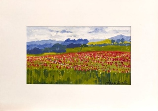 Champ de coquelicots 2 - Gouache - aquarelle - petit format.
