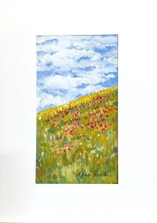 Talus aux coquelicots - Gouache - aquarelle - petit format.