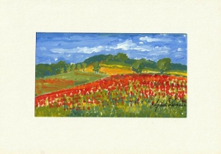 Coquelicots en Pays de Bray - Gouache - aquarelle - petit format.